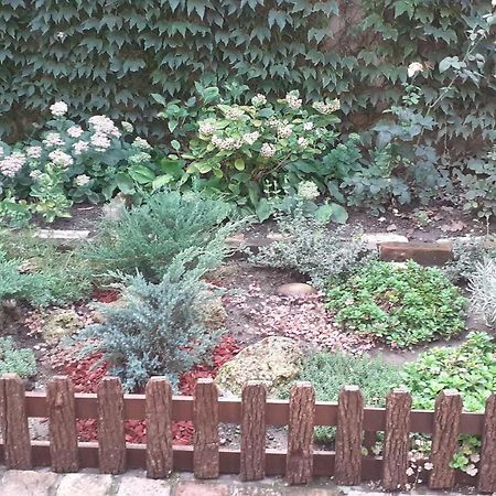 Apartman Rustik Belgrado Buitenkant foto